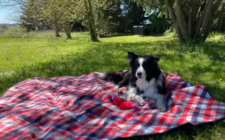 Pomohli jste Meggie k uzdravení