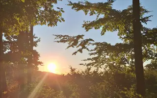 Pomoc pro nepohyblivou mámu Radku s nesnesitelnými bolestmi