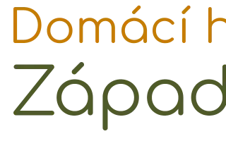 Být doma - nebýt na to sami: podpořme domácí hospic