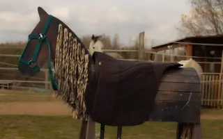 Zachraňme hipoterapii pro děti s postižením