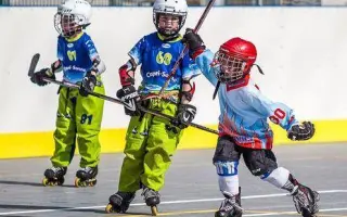 Zimní stadion v Dobříši - umělý povrch, inline hokej, hokejbal, florbal.