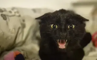 Jeden prostor navíc, stovky šancí na život