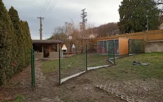 Pomoc pro pejsky čekající na nový domov