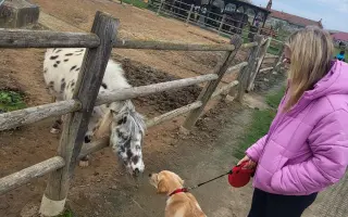 Malý Timmy si zaslouží život bez bolesti