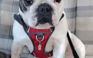 Zachráňte Marilyn bojující s rakovinou