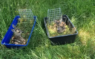 Drony pro pátrání po pohřešovaných osobách v ČR (při výcviku i po srnčatech)