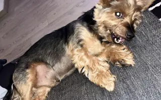 Pomoc Majkynkovi zpět na nohy♥️