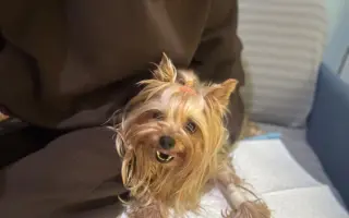 Pomozte Maxíkovi v boji s lymfomem