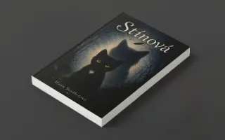Podpořte Stínovou – příběh, který nekončí poslední stránkou