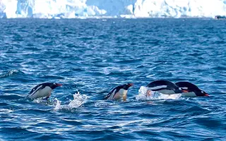 Pomozte nám natočit motivační dokument: V sevření ledové vody II