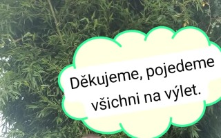 Velké auto pro velkou pěstounskou rodinu