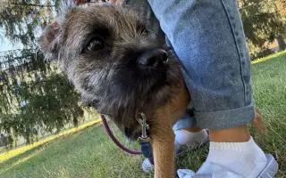 ❤️ Pomozme Lakymu – Dejme mu šanci na delší život