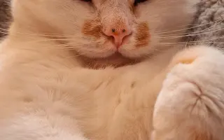 9 nalezených Lásek