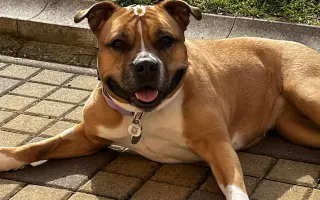 ...aby se Roxy mohla postavit bezbolestně na nohy