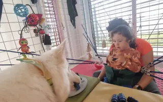 Když psí láska léčí – rok canisterapie pro Dominička