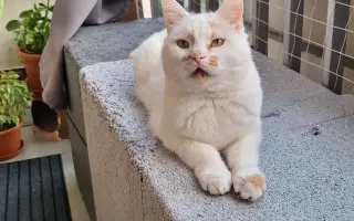 8 nalezených Lásek