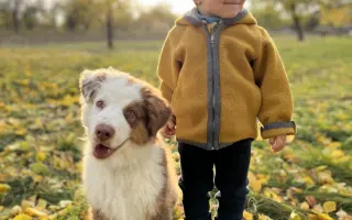 Pomozte našemu Thorinovi dostat šanci na život bez bolesti