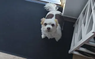 Pomoc pro Enny