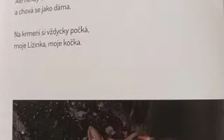 Pomozme handicapované umělkyni