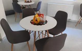 Pojďme dát kočičkám druhou šanci, obnovme kočičí kavárnu café & bar Šťastné tlapky