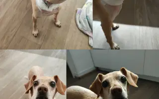 Pomozte při léčení Julinky