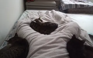 Zvládla jsem rakovinu. Teď hledám cestu zpět k životu.