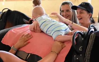 Pomozte nám postavit trojbox pro ustájení hiporehabilitačních koní DORADO z. s.