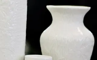 Z lásky k pokožce: Pomozte zrození ROSTLINKY 🌱