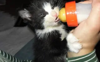 Vaše pomoc může změnit osud němých tváří