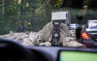 Z nuly zpět za hledáček - aneb nový začátek po velkém pádu