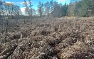 Pomoc s úhradou právních nákladů