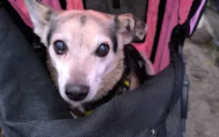 Pomozme zachovat Dvůr poslední šance