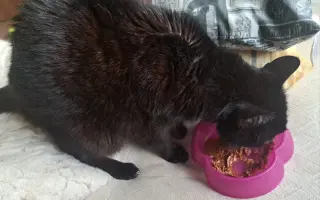 Úžasná Rozinka, která celý život pomáhala, nyní sama potřebuje pomoc