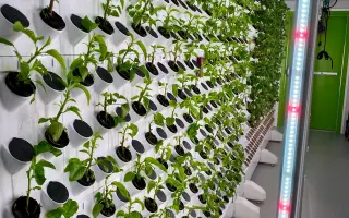 Podpořte projekt "Z vody roste jídlo"