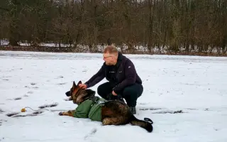 Léčba, která nekončí - Fůrie