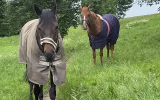 Zachraňme Elyho světlo: Operace očí mu vrátí život bez bolesti