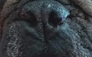 Pomohli jste Edovi k lepšímu zdraví