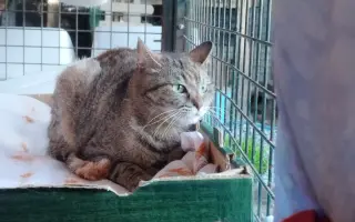 Pomozme Kukačce vyhrát boj s vážnou nemocí