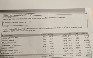 Život bez bolesti pro Huga záchranáře