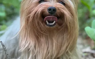 Pomozte Maxíkovi v boji s lymfomem