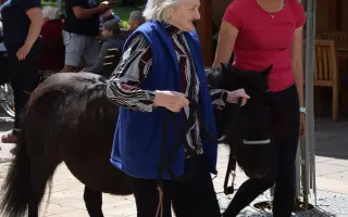 „Dodávka radosti – pomozte nám vozit poníky za dětmi a seniory“