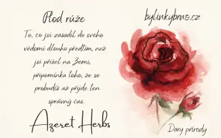 Podpořte bylinkový projekt Azeret Herbs