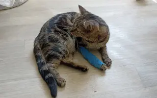 Světlo ve tmě pro Kulíšky
