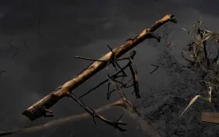Z nuly zpět za hledáček - aneb nový začátek po velkém pádu