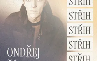 Podpořili jste vznik studentského filmu Svině