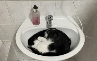 Operace očí a život bez bolesti pro Černocha