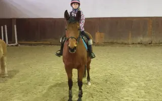 Důstojný život pro naše koňské kamarády