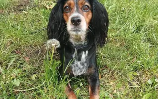 Shamy bouje s bolestí. Pomozme jí prožít stáří důstojně