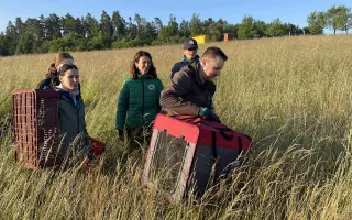 Zachraňme mláďata na Brněnsku - dron, který může znamenat život