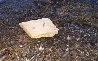 Pomoc pro bojovníčka Ferdu